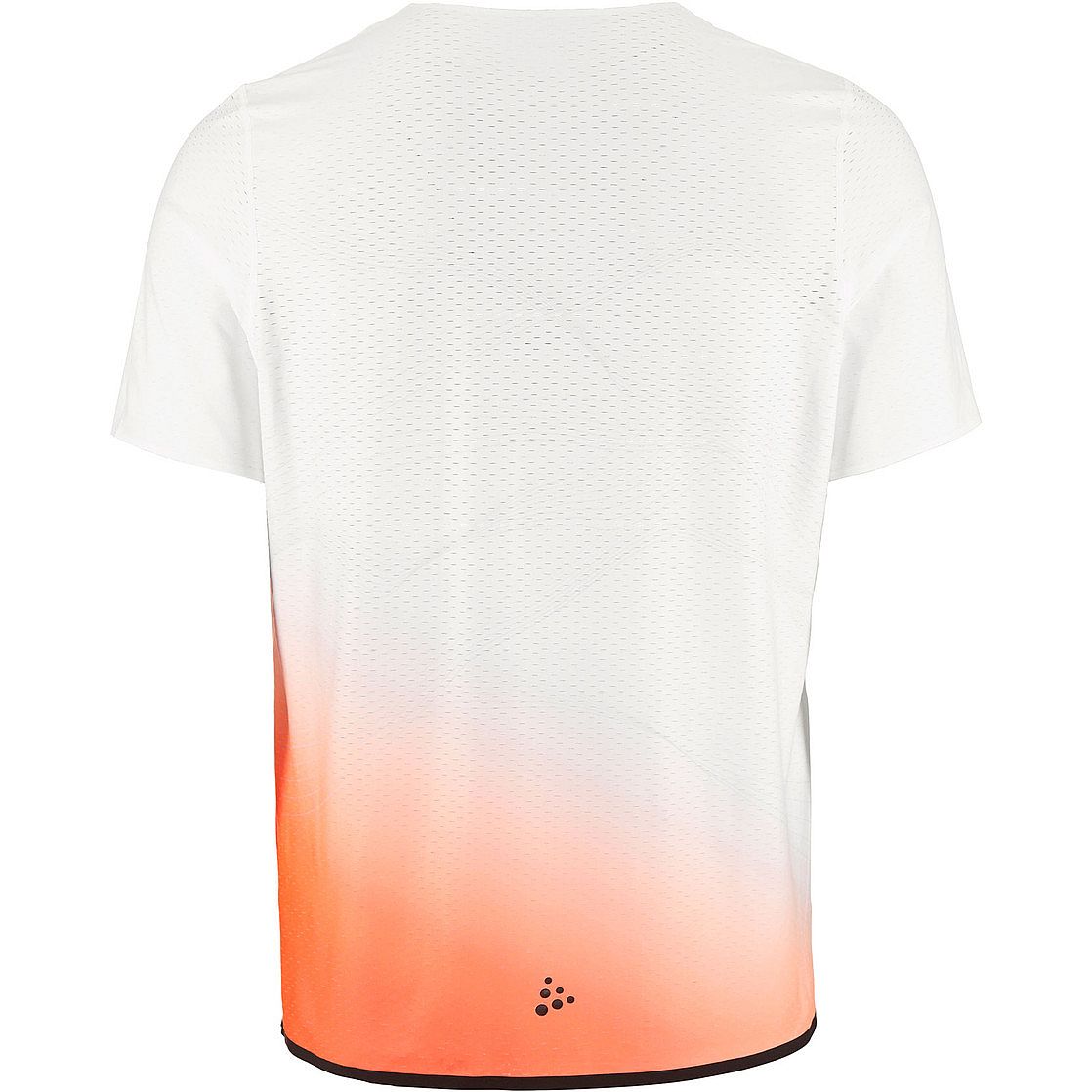 114231-Craft-Race-Day-hardloopshirt-korte-mouw-WhiteMulti-heren-afbeelding-2